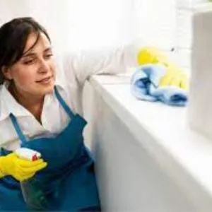 Domestic Maid Services