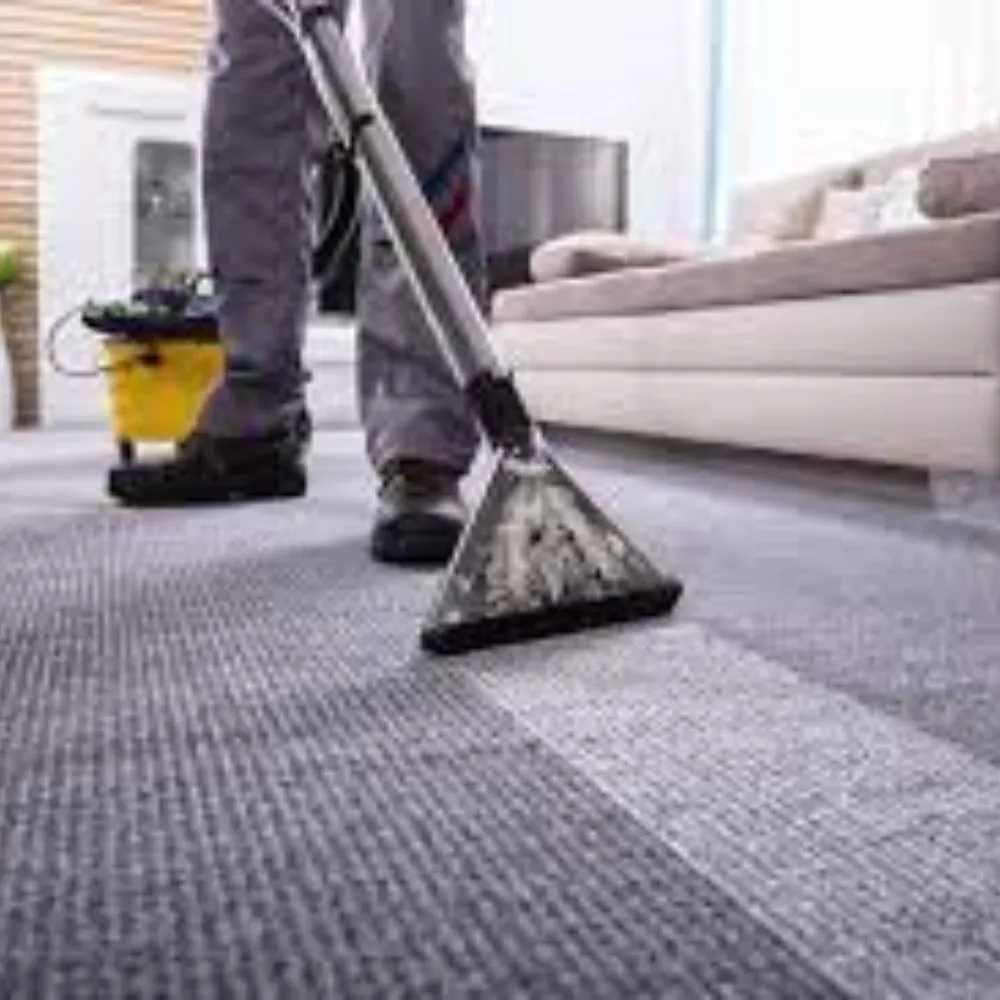 Premium Carpet Cleaning Service