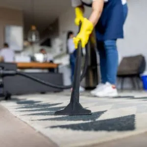 Regular Home Cleaning Services