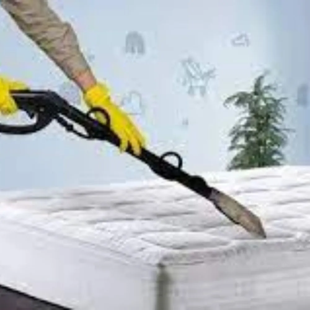 Dry Mattress Cleaning Service