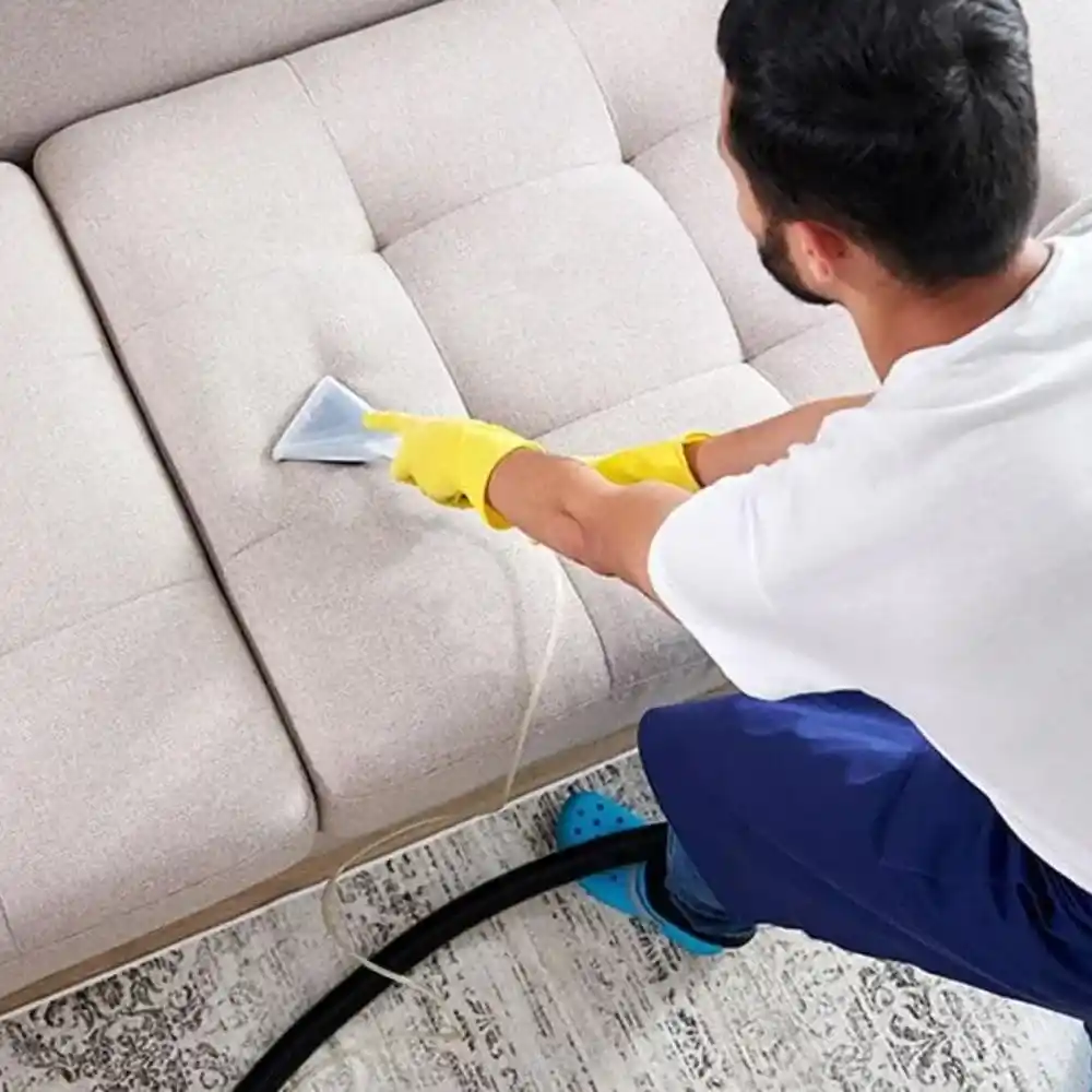 Professional Sofa Cleaning Services