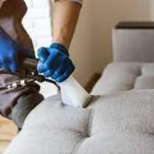 Professional Sofa Cleaning Service