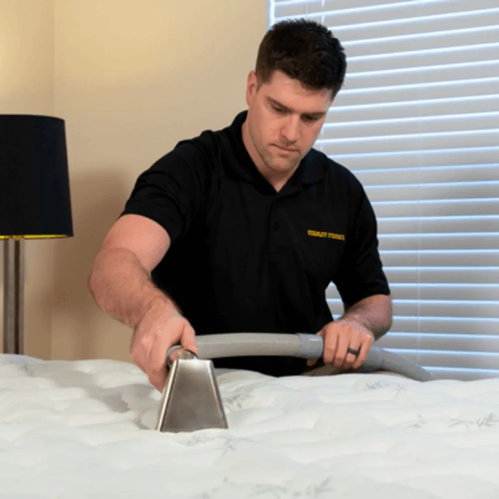 Professional Mattress Cleaning Services