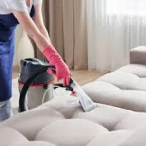 Professional Sofa Cleaning Service