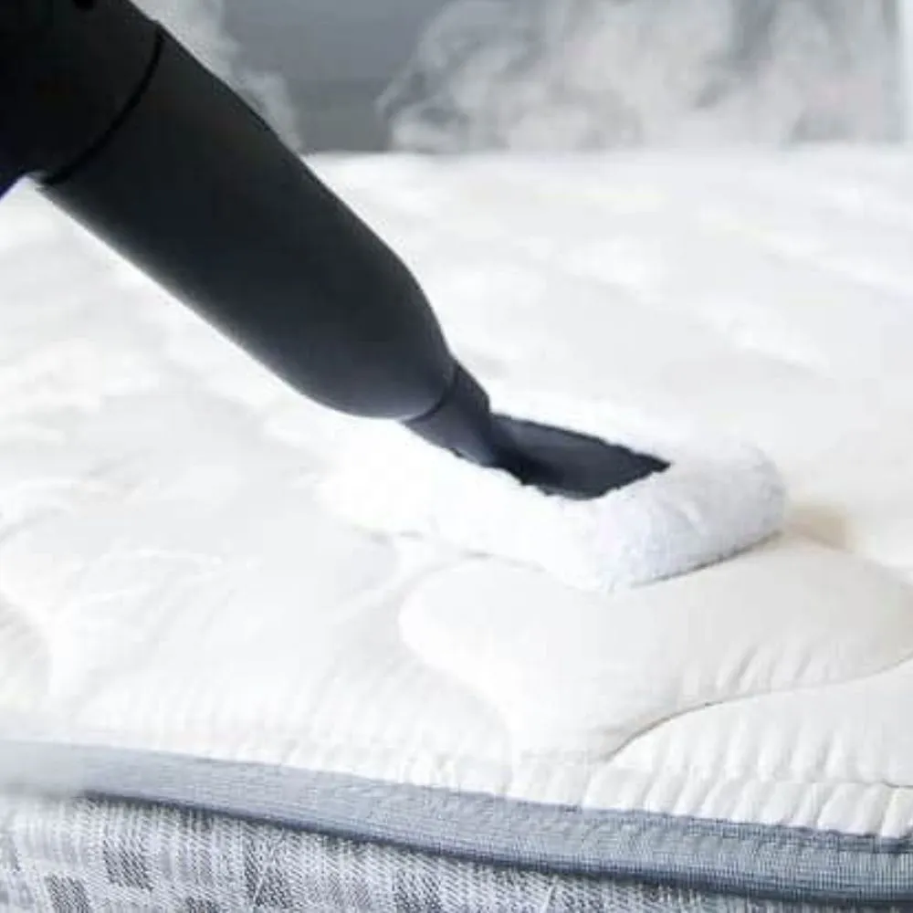 Steam Mattress Cleaning Service