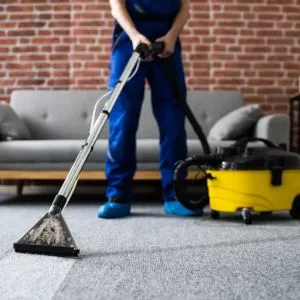 Professional Carpet Cleaning Services