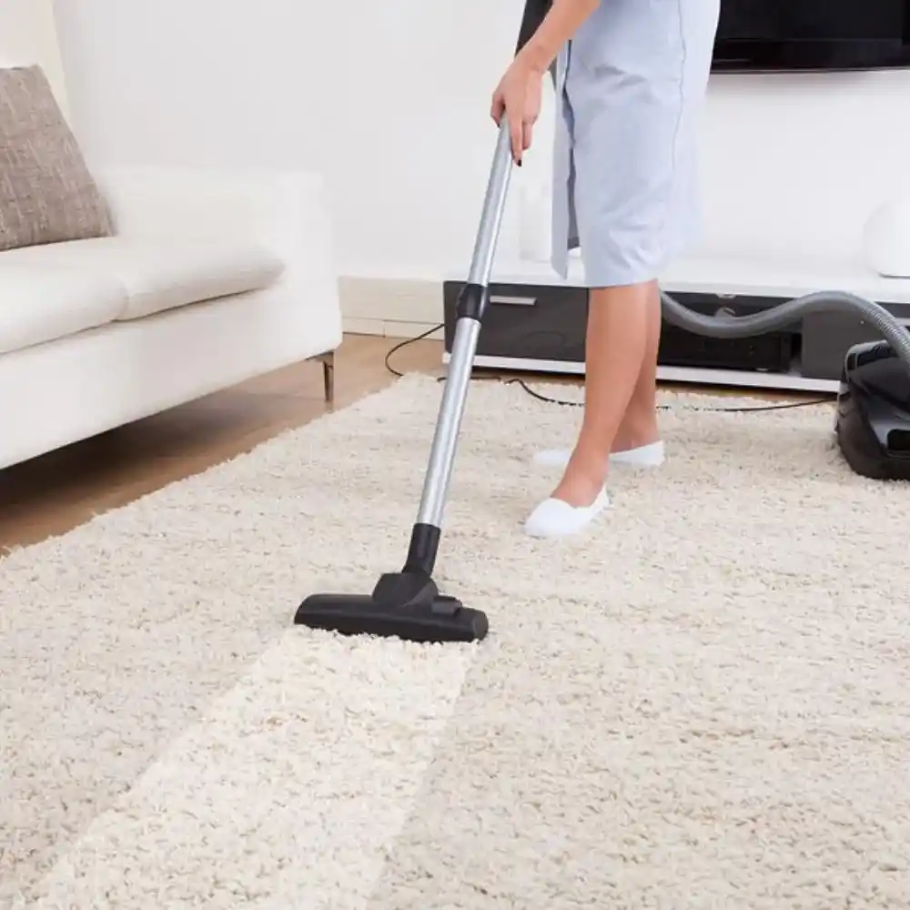 Commercial Carpet Cleaning Service