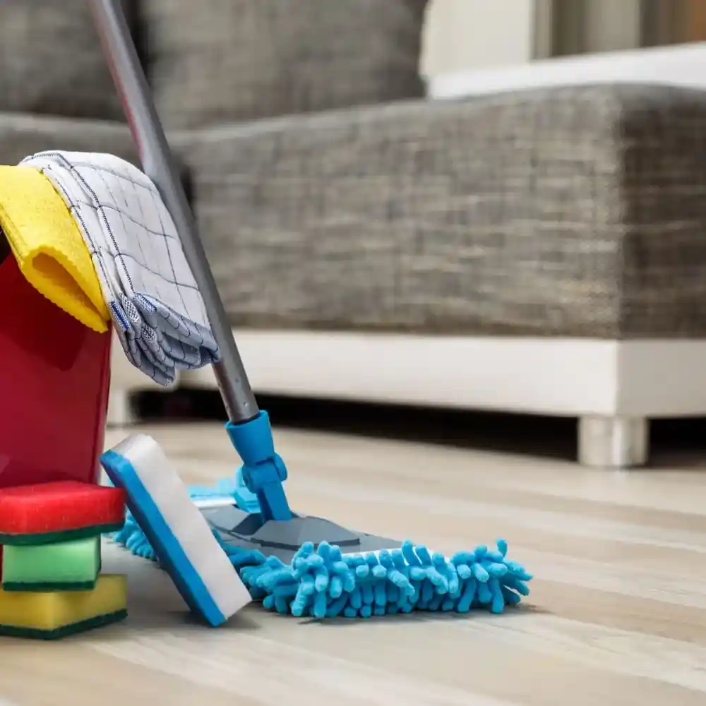 Professional Deep Cleaning Service