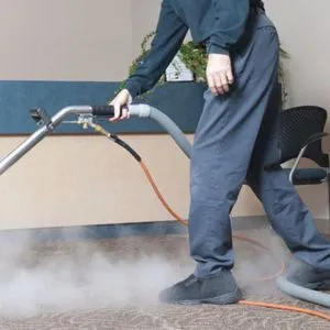 Professional Deep Steam Cleaning Services