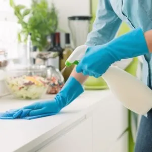 Kitchen Sanitizing Services