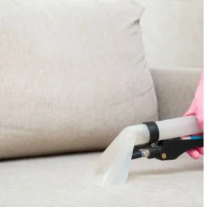 Professional Upholstery Cleaning Service