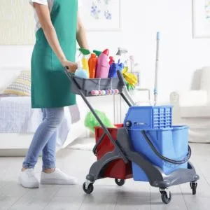 House Maid Services