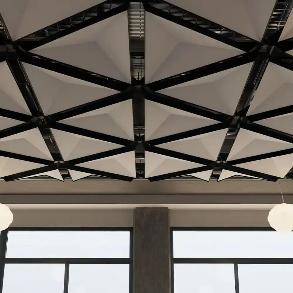 Special Acoustic ceilings