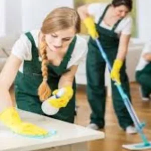 Professional Maid Cleaning Services