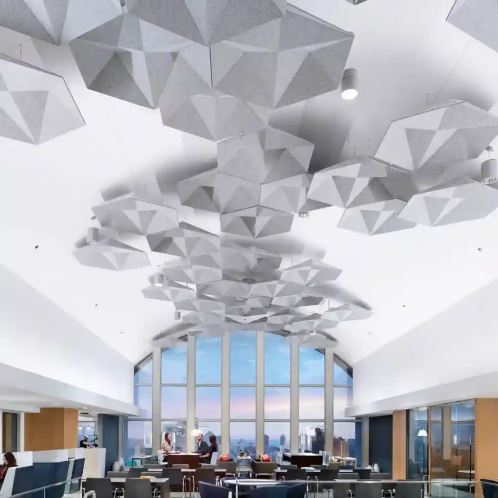 Special Acoustic Ceilings