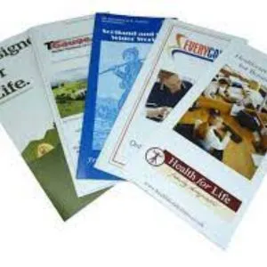 Flyers Printing Services