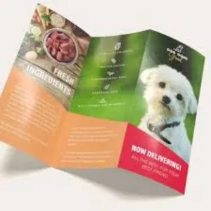 Brochure Printing Services