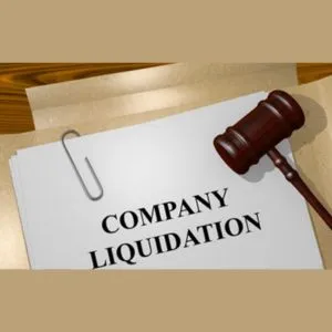 Company Liquidation Assistance Services