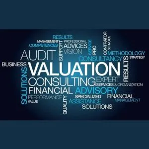 Valuation Consulting Services