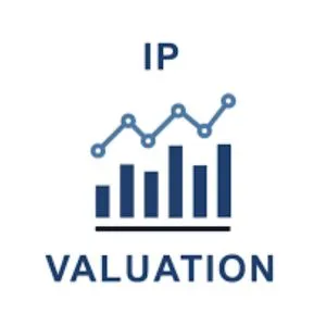 Intellectual Property Valuation Services