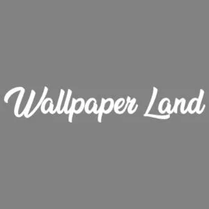 Wallpaper Land