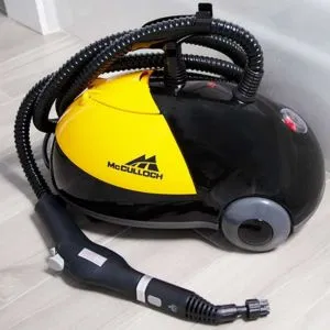 Single Boiler Steam Cleaner