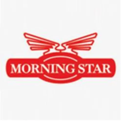 Morning Star Rent A Car LLC