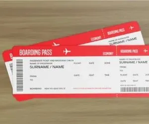 Domestic Flight Ticket