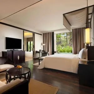 Deluxe Lagoon Room