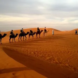 Camel Trekking Ras Al Khaimah