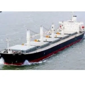 Dry Bulk Ship Broking Services