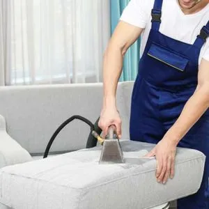 Upholstery Cleaning Services