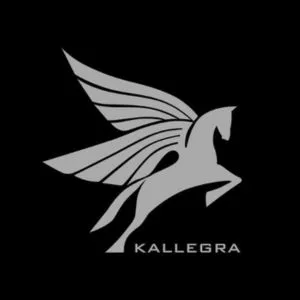 Kallegra Building Materials Trading LLC