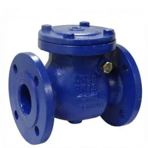 Non Return Check Valves