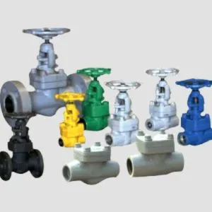 Forge Steel Valves