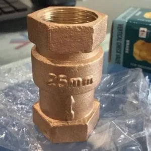 Brass Check Valve