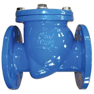 Double Flanged Check Valve