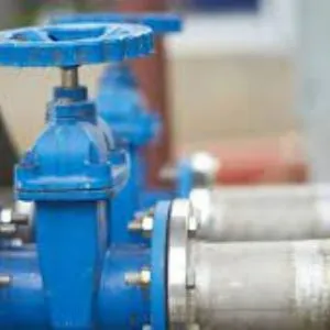 Industrial Gate Valve