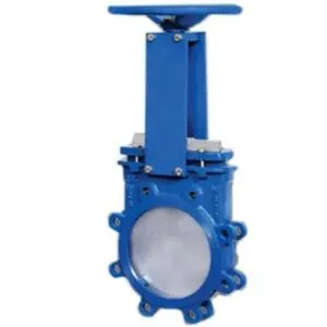 Gate Valve