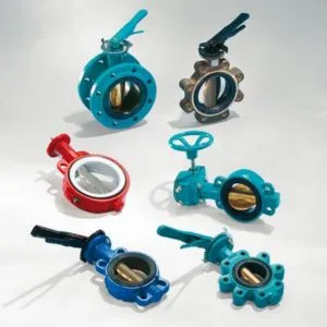 Double offset butterfly valve