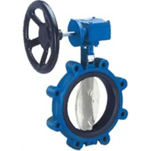 Butterfly Valve Center Disc