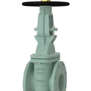 Fevisa Water Infrastructure Valves