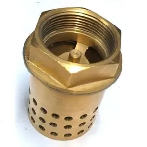 Brass Foot Valve