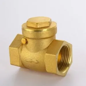 Brass NRV Valves