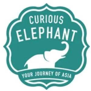 Curious Elephant