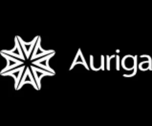 Auriga Consultants