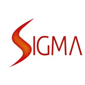 Sigma Electromechanical Contracting