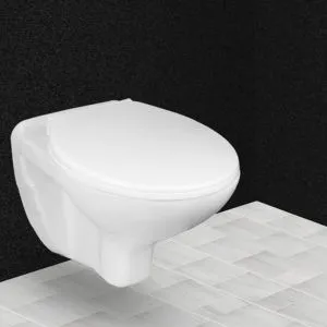 Wall Mounted Water Closet