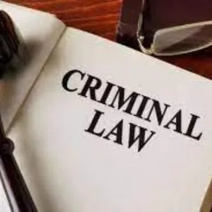 Criminal Lawyers