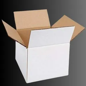 White Corrugated Box